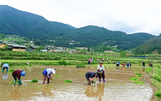 4c56b659-e7d7-4069-a604-2137a9649dda