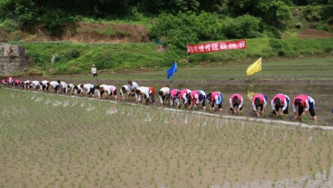 22b8e0c1-cb70-4ac9-ba33-51a06e794859