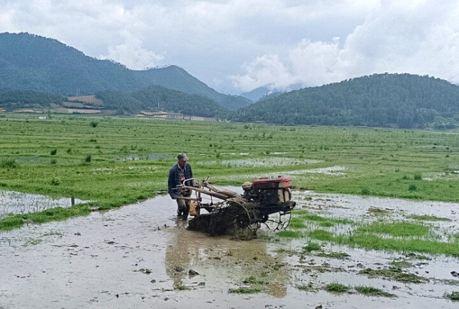 a2521988-ceb2-4ef1-8842-608c8244f3fc