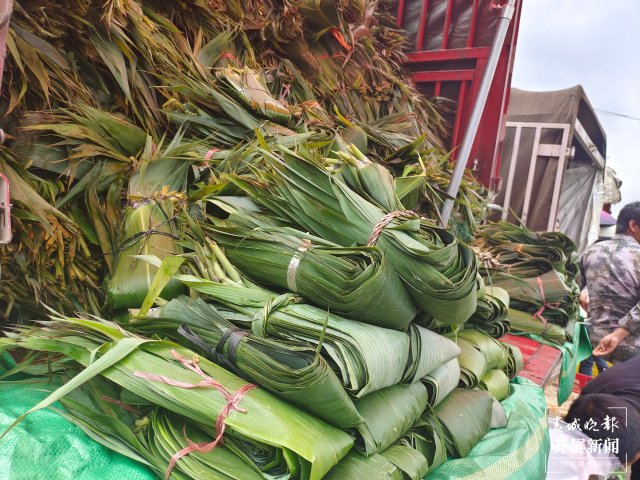 端午節(jié)將至，昆明市場(chǎng)上粽葉開(kāi)始熱賣(mài) 夏體雷 攝