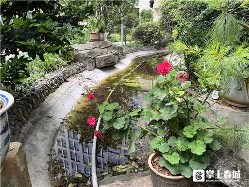 昆明某小區(qū)癩蛤蟆叫聲擾民，專家：雖吵但生態(tài)好才聽得到