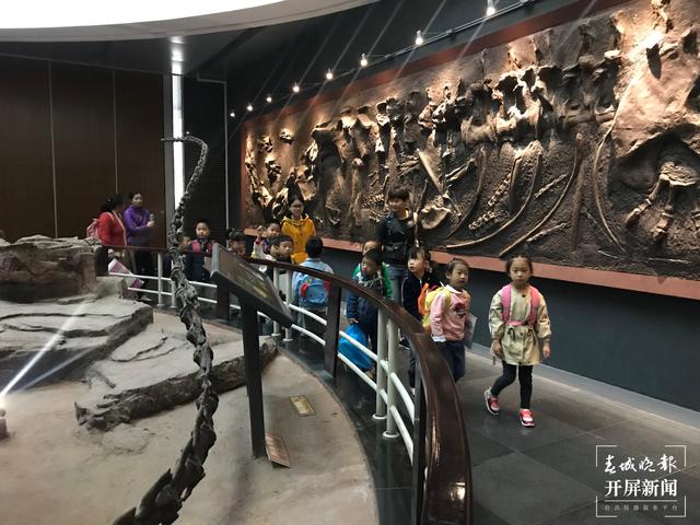 五一期間，昆明動物博物館正常開放 （來源 春城晚報-開屏新聞 楊質高）