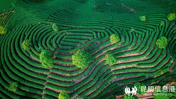 微信圖片_20220511171419