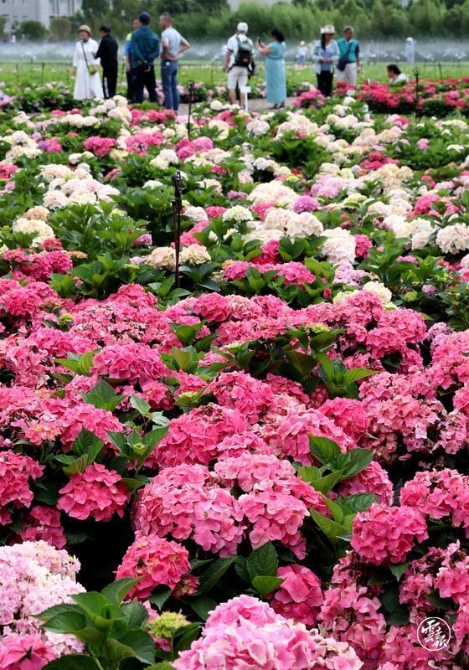 code_ynrb3218b7a9-30f8-4834-8f5d-1d55fb97d660