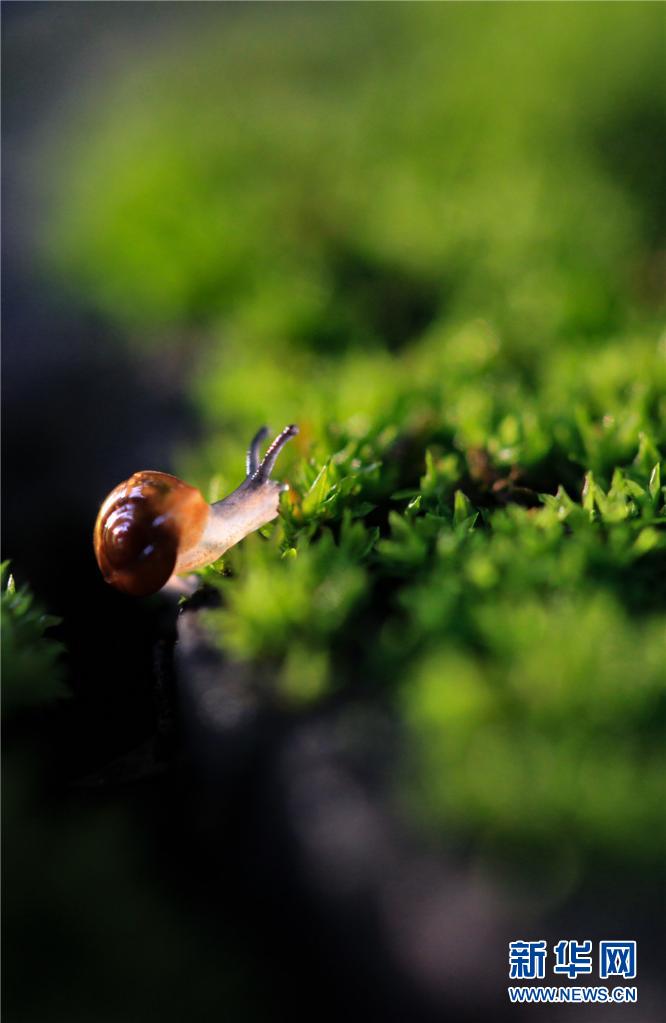 1310615330_16545076551441n 1310615330_16545076551441n