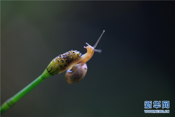 1310615330_16545076552881n 1310615330_16545076552881n