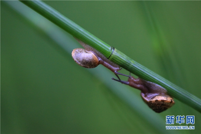 1310615330_16545076553791n 1310615330_16545076553791n