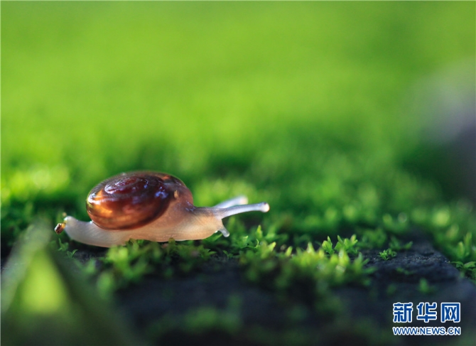 1310615330_16545076555611n 1310615330_16545076555611n