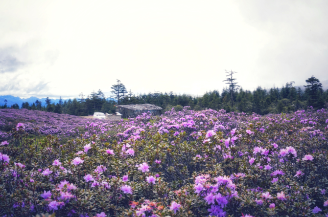 7a610d83-d7b0-4900-a698-ca61e1971681