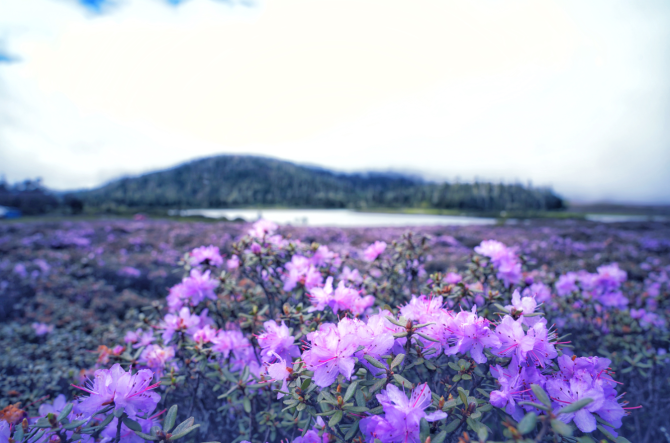 9fccf3de-25fe-4095-9211-a8fc4ab14b4f