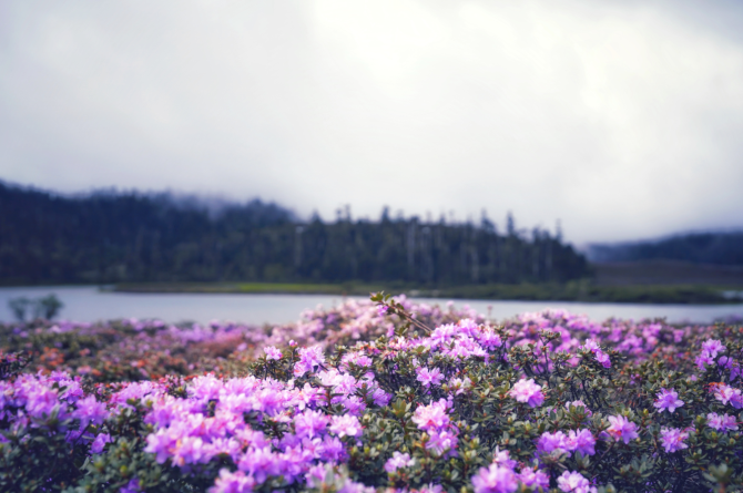 c0140b44-1677-47b6-acd0-b0195fb0f271