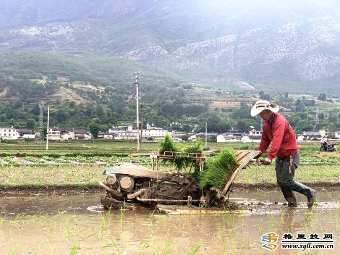 aff053ca-331f-488d-91ef-422e1ea7d397_batchwm aff053ca-331f-488d-91ef-422e1ea7d397_batchwm