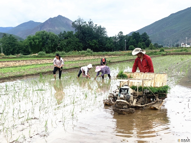 ba9cb754-01f9-4841-9474-60ed66b47295_batchwm ba9cb754-01f9-4841-9474-60ed66b47295_batchwm