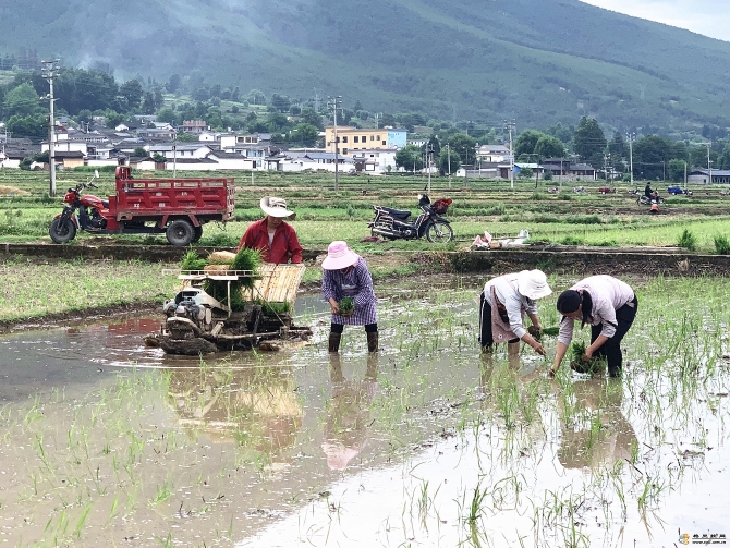 cebeaf0b-8692-48e4-9319-c448eb2dd5bd_batchwm cebeaf0b-8692-48e4-9319-c448eb2dd5bd_batchwm