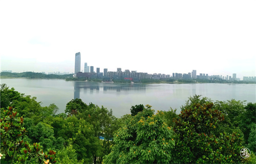 調(diào)研03 調(diào)研03