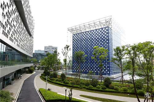 調(diào)研08 調(diào)研08