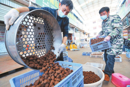 WeChat 截圖_20220612102434 WeChat 截圖_20220612102434