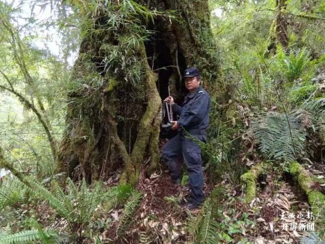 怒江石月亮邊境派出所走訪宣傳入民心 群眾主動(dòng)繳槍支