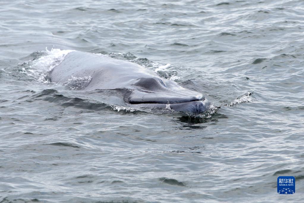 1128722954_16546863138321n 1128722954_16546863138321n