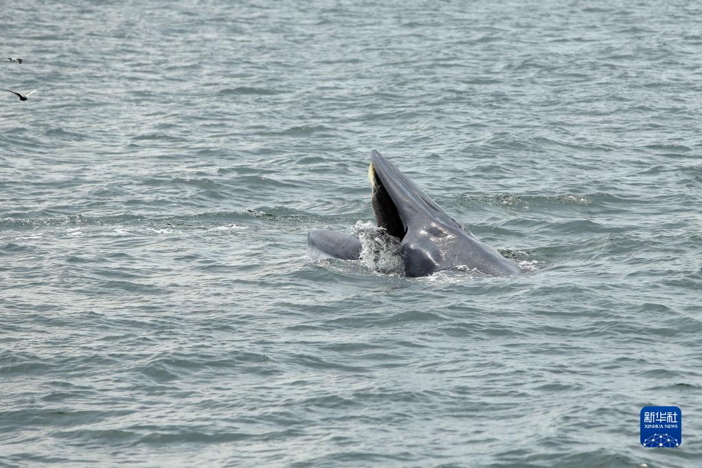 1128722954_16546866100151n 1128722954_16546866100151n