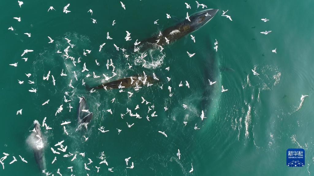 1085858_2048x2048 1085858_2048x2048