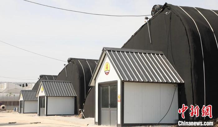 果園村發(fā)展現(xiàn)代農(nóng)業(yè)特色產(chǎn)業(yè)，為發(fā)展壯大村集體經(jīng)濟、村民增收開辟了一條綠色發(fā)展的新路?！∠蛏?攝