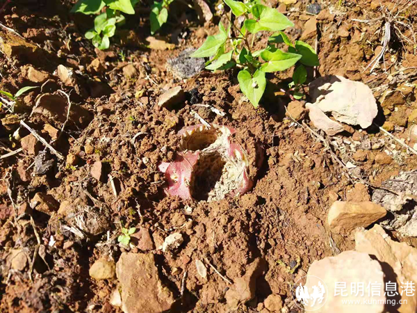 1087613_2048x2048_副本