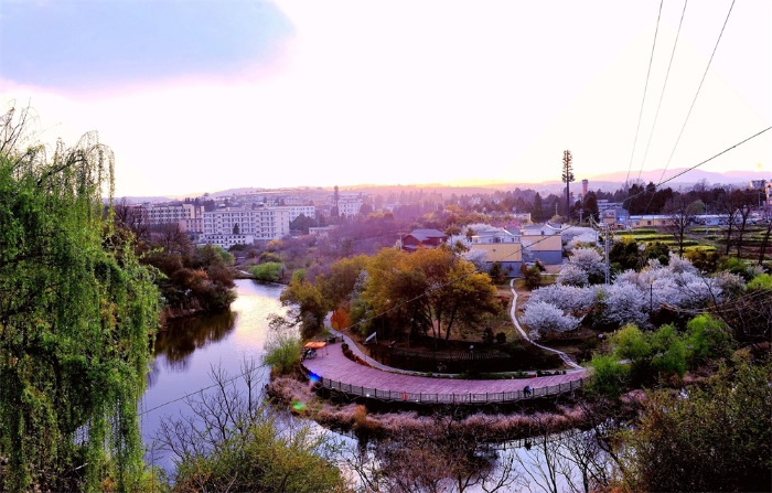 DSC_7593_副本_副本_副本