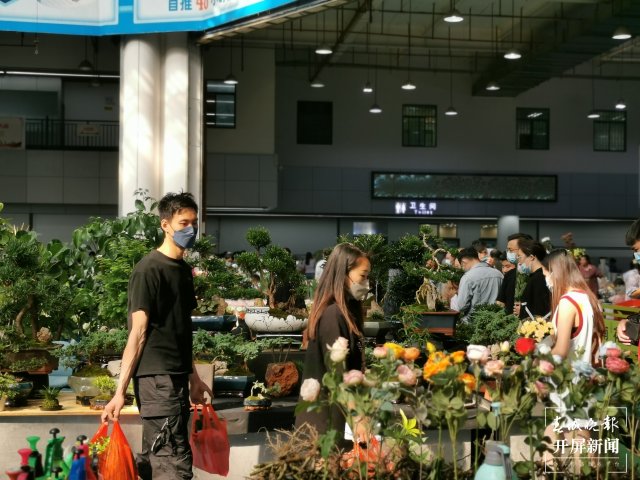 開(kāi)屏觀察｜昆明家庭園藝日漸風(fēng)靡，養(yǎng)花不再是老人“專(zhuān)利”（開(kāi)屏新聞?dòng)浾?李賽 攝）