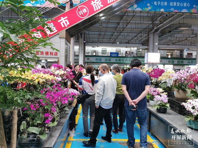 開(kāi)屏觀察｜昆明家庭園藝日漸風(fēng)靡，養(yǎng)花不再是老人“專(zhuān)利”（開(kāi)屏新聞?dòng)浾?李賽 攝）