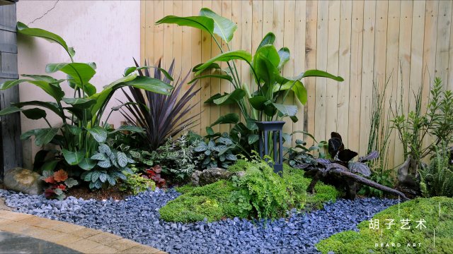 開(kāi)屏觀察｜有人花10多萬(wàn)元裝飾花園，昆明家庭園藝日漸風(fēng)靡（胡子藝術(shù)供圖）