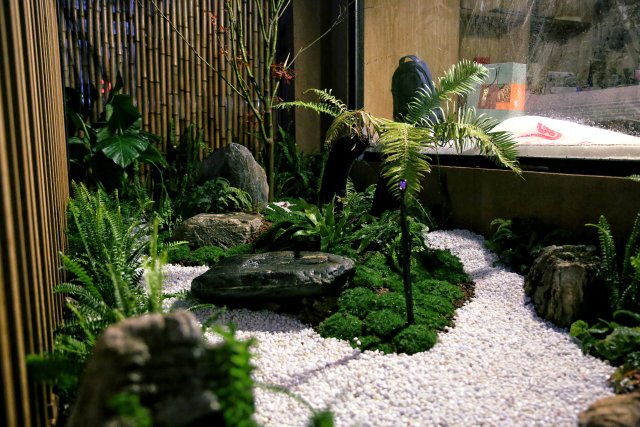 開(kāi)屏觀察｜有人花10多萬(wàn)元裝飾花園，昆明家庭園藝日漸風(fēng)靡（胡子藝術(shù)供圖）