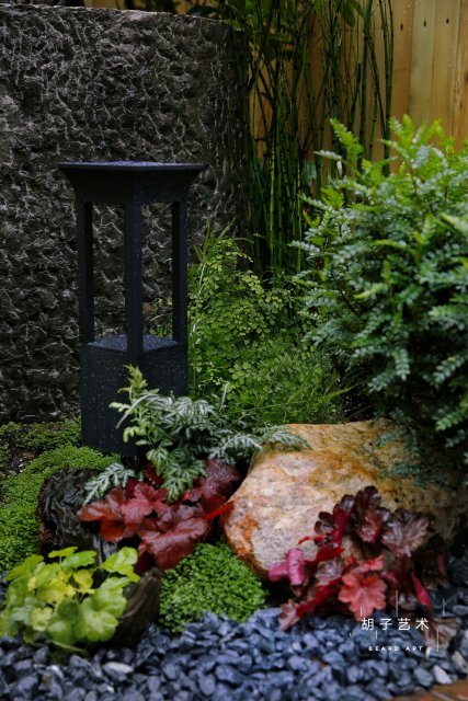 開(kāi)屏觀察｜有人花10多萬(wàn)元裝飾花園，昆明家庭園藝日漸風(fēng)靡（胡子藝術(shù)供圖）