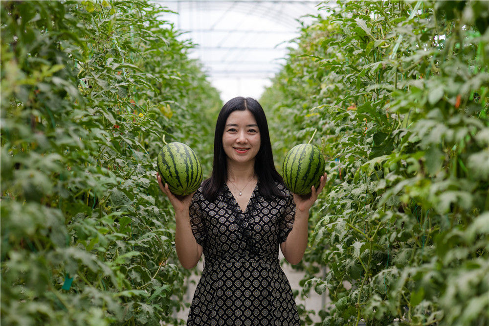 40d80930e60142bd97ce7f486c63841f 40d80930e60142bd97ce7f486c63841f