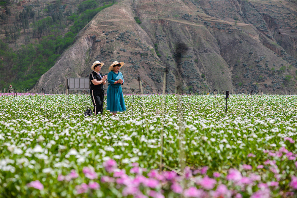 7bf3361a1a0e48a0978d28f73e8ada74 7bf3361a1a0e48a0978d28f73e8ada74