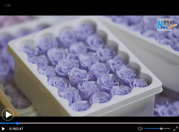 QQ截圖20220617165400