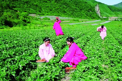 東北邊陲:旅游興市 產(chǎn)業(yè)富民 東北邊陲:旅游興市 產(chǎn)業(yè)富民