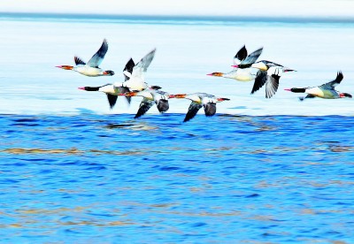 東北邊陲:旅游興市 產(chǎn)業(yè)富民 東北邊陲:旅游興市 產(chǎn)業(yè)富民