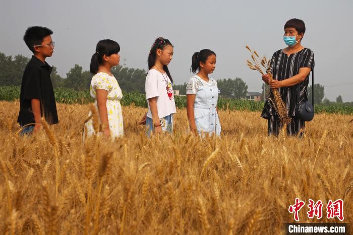 老師為學(xué)生講解小麥生長知識 熊華明 攝