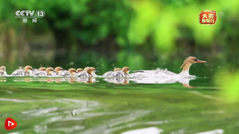 微信截圖_20220619164512 微信截圖_20220619164512