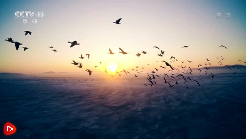 微信截圖_20220619164813