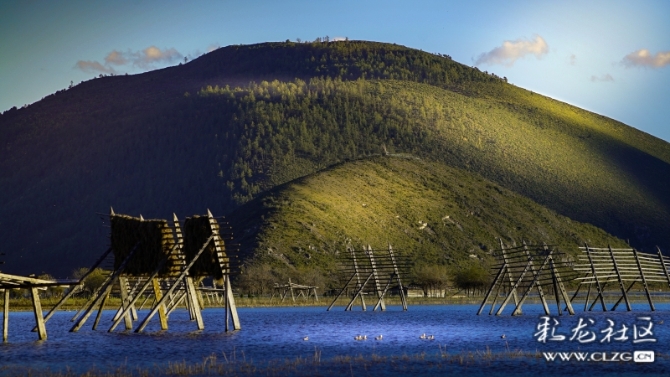 16553966787255466053440813457_354689