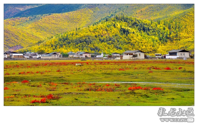 ie62xafpe7 ie62xafpe7