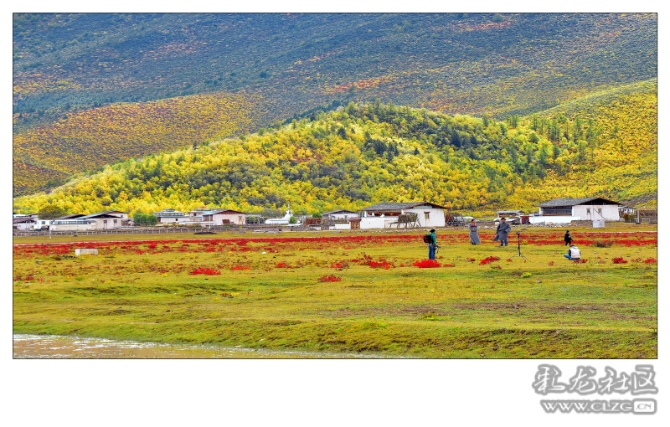 l4ninr4q0s l4ninr4q0s