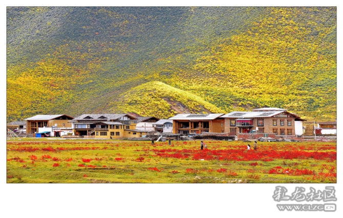 vk6uyc61qc vk6uyc61qc