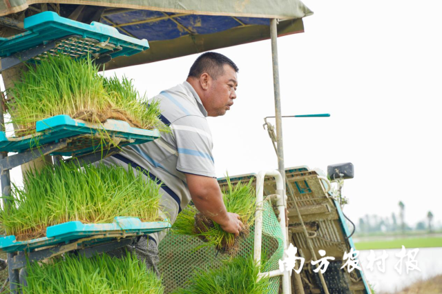 都斛鎮(zhèn)“種糧大王”李勝業(yè)