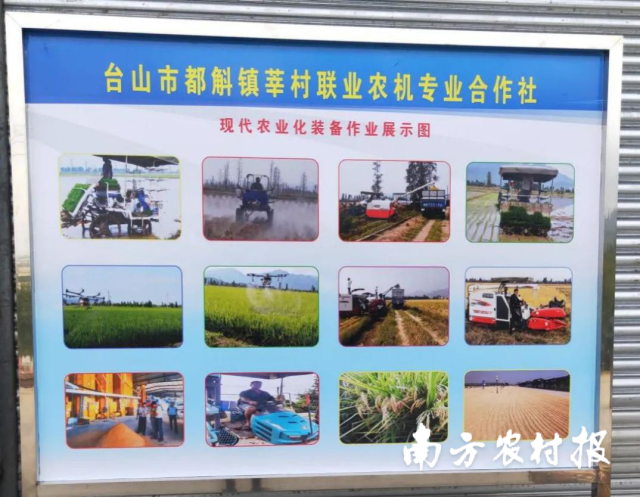 合作社實(shí)現(xiàn)了育秧、栽插、植保、收割、銷售一條龍。