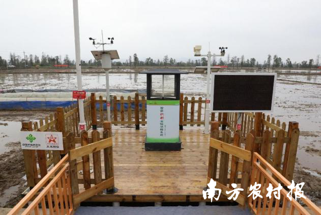 “眼睛”長在田頭的智慧農(nóng)業(yè)物聯(lián)網(wǎng)系統(tǒng)。