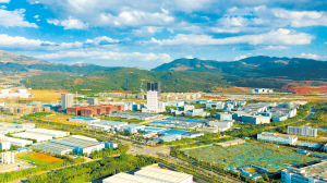 8761655751341289 8761655751341289