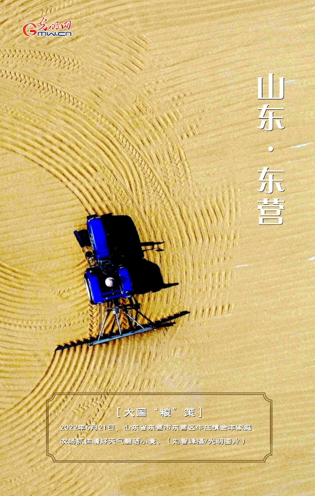 【大國“糧”策】山東：小麥?zhǔn)斋@接近尾聲 單產(chǎn)再創(chuàng)新高
